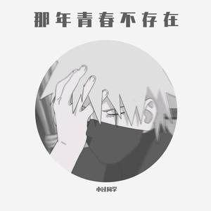 那年青春不存在