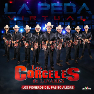La Peda Virtual (Explicit)