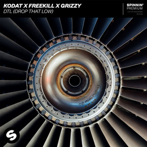 DTL (Drop That Low) (Extended Mix)