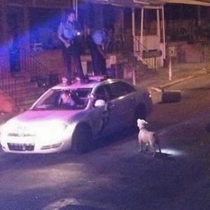 Cinderella (Explicit)