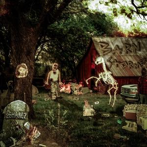 BARNSTORMER (Explicit)