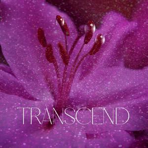 Transcend (feat. Siren Gliss & Taylor Tatum)