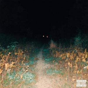 PSYCHOTIC (feat. stranger) (Explicit)