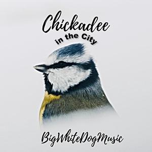 Chickadee in the City