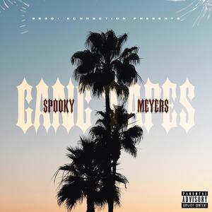 Digg Em Up (feat. Lazyboyat, Ez95301 & Flaco209) (Explicit)