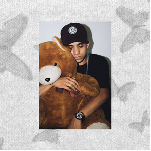 Borboletas no Meu Copo