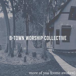 More of You (Come Awaken) (feat. Sarah Kelley & Quentin Bemis)