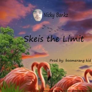 Skies the Limit (Explicit)