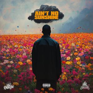 Ain't No Sunshine (Explicit)