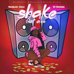 SDA (feat. BC Montana) (Explicit)