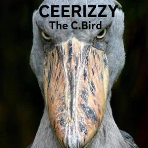 You're no good (tweet) (feat. Bandzino) (Explicit)