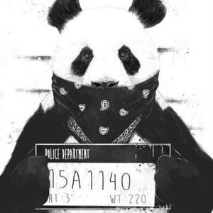 Kung Fu Panda (feat. Boy Duce) [Explicit]