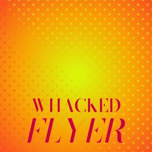 Whacked Flyer