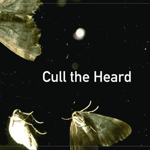 Cull the Heard