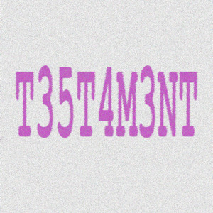 T35T4M3NT (Explicit)