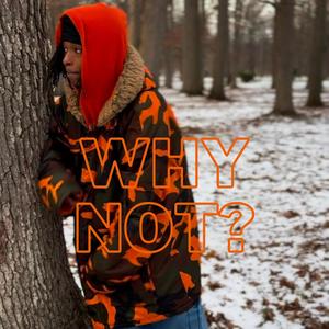 Why Not? (Explicit)