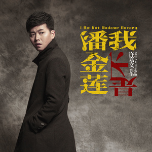 我不是潘金莲封面