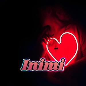 Inimi (Remix)