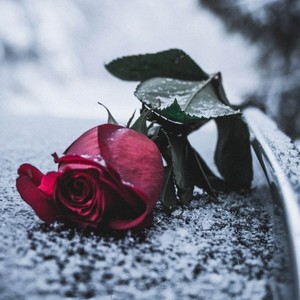 壮志豪情永不休 (DJ阿能版)