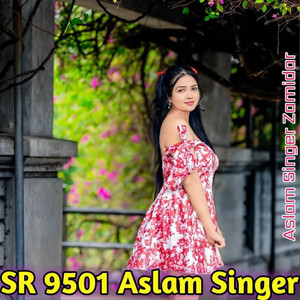 SR 9501 Aslam Singer