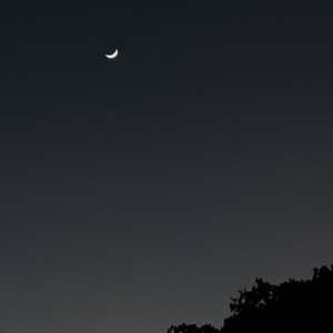 remember the first night we met?