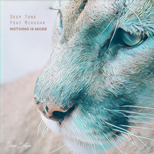 Nothing Is More (Original Mix)