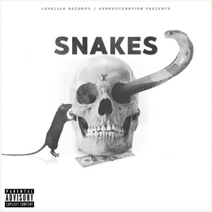 SNAKES (Explicit)