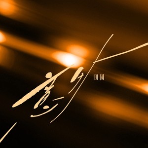 田园《意外》[MP3_LRC]_MP3免费下载