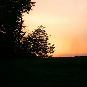 我能嘤嘤嘤也能冷冰冰