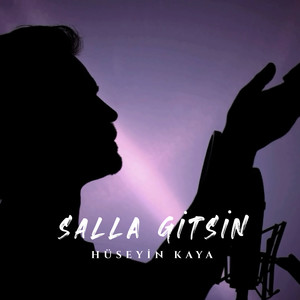 Salla Gitsin