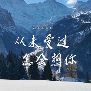 从未爱过怎会想你