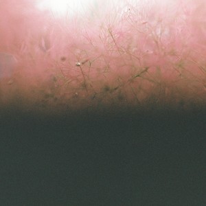 Soft Euphoria (Circle 57)