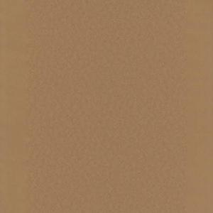 YOU'RE FINALLY HERE (Explicit)