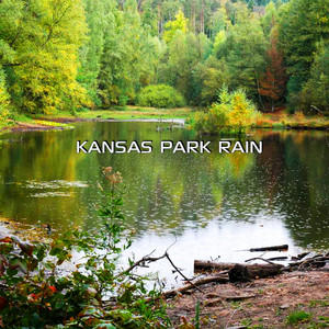 Relaxing Kansas Park Rain