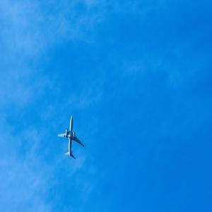 Love On The Brain (COVER版)