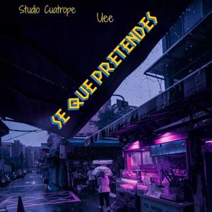 Se que pretendes!! (Explicit)