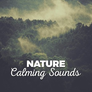 Nature: Calming Sounds