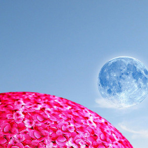 Why - Alambic Conspiracy Remix (Alambic Conspiracy Remix)