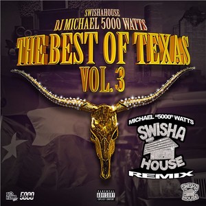 The Best of Texas, Vol. 3 (DJ Michael "5000" Watts Swishahouse Remix) [Explicit]