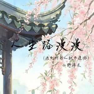 人生路漫漫(遇到对的人就不遗憾)-小野学长