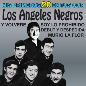 Mis Primeros 20 Éxitos