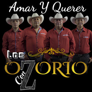 Amar Y Querer