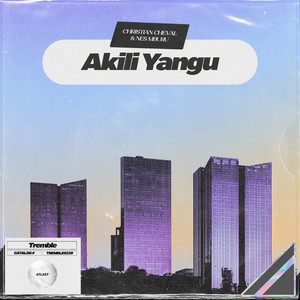 Akili Yangu