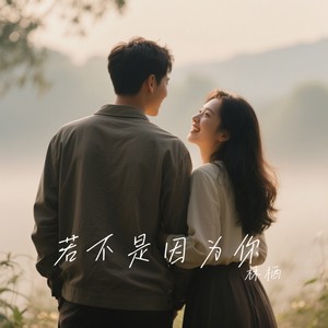 若不是因为你