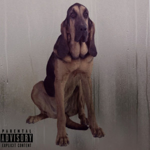 Bloodhound (Explicit)