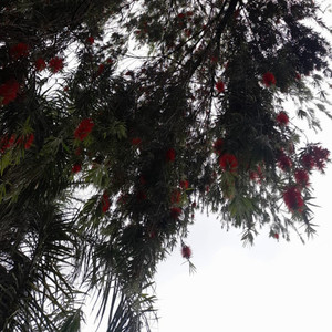 ATÉ O INFINITO (Explicit)