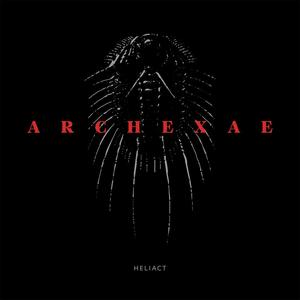 Archexae