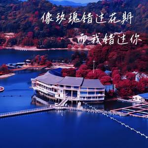 炸鸡得嘞 - 像玫瑰错过花期而我错过你