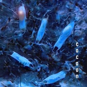 cocoon