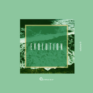 Evolution 9